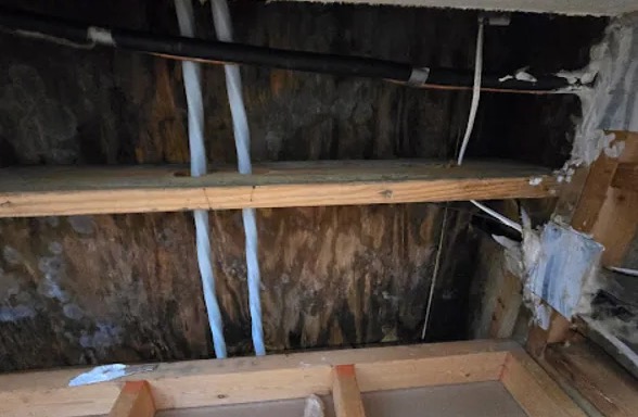 Attic Mold Remediation in Gaithersburg, MD